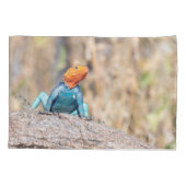 一般的なアガマ 枕カバー (裏面)