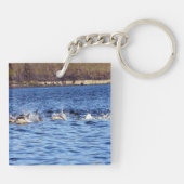 一般的なイルカのポルノ キーホルダー (裏面)