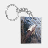 一般的なイルカの表面 キーホルダー (正面左)