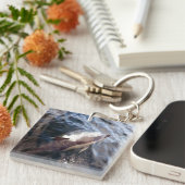 一般的なイルカの表面 キーホルダー (正面右)