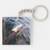 一般的なイルカの表面 キーホルダー (裏面)