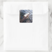 一般的なイルカの表面 スクエアシール (バッグ)