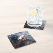 一般的なイルカ浮上コースター スクエアペーパーコースター (インサイチュ)