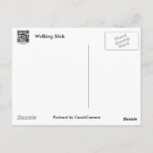 一般的なウォッキングスティック(Diapheromera femorata)アイテム ポストカード (裏面)