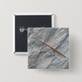 一般的なウォッキングスティック(Diapheromera femorata)アイテム 缶バッジ (正面&裏面)