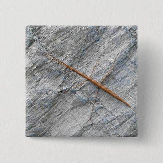 一般的なウォッキングスティック(Diapheromera femorata)アイテム 缶バッジ (正面)