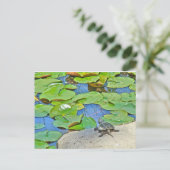 一般的なカミツキガメ – Chelydra serpentina ポストカード (スタンド正面)