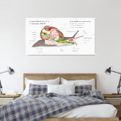 一般的なガーデンカタツムリの図（ヘリックスアスペルサ） キャンバスプリント (インサイチュ (寝室))