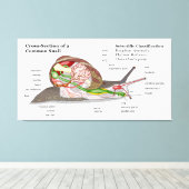 一般的なガーデンカタツムリの図（ヘリックスアスペルサ） キャンバスプリント (インサイチュ (ウッドフロア))