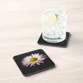 一般的なデイジーの色 コースター (右側)