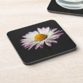 一般的なデイジーcoastercna コースター (左側)