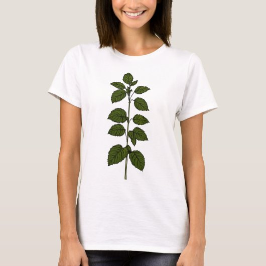 一般的なネトル植物性Tシャツ Tシャツ (正面)