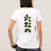 一般的なネトル植物性Tシャツ Tシャツ (裏面)