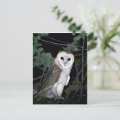 一般的なバーンドウル、ティトアルバ、カリフォルニア州、米国 ポストカード (スタンド正面)