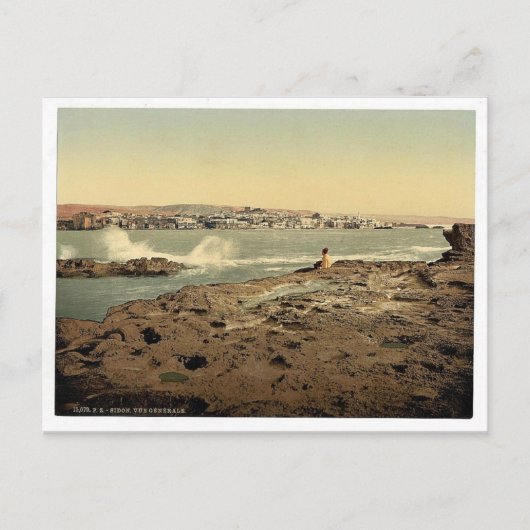 一般的なビュー、シドン、聖地、レバノン ポストカード (正面)