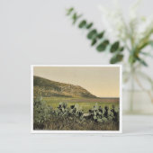 一般的なビュー、山カルメル、聖地(イスラエル人) ポストカード (スタンド正面)