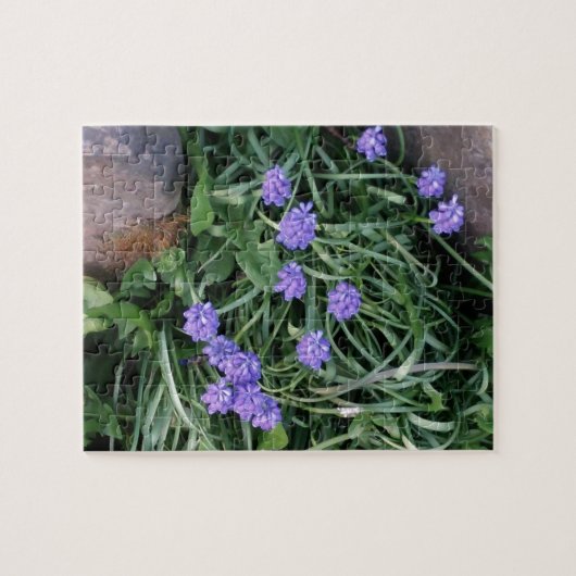 一般的なブドウのヒヤシンス、青い紫の花、フローラ ジグソーパズル (横)