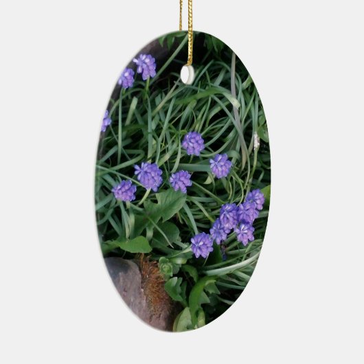 一般的なブドウのヒヤシンス、青い紫の花、フローラ セラミックオーナメント (右)