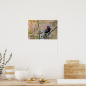 一般的なブラックバード自然写真 ポスター (キッチン)