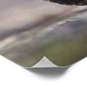 一般的なブラックバード ポスター (角)