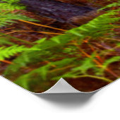 一般的なブレスケン(Pteridium Aquilinum)成長 ポスター (角)