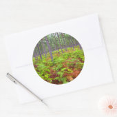 一般的なブレスケン(Pteridium Aquilinum)成長 ラウンドシール (封筒)