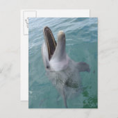 一般的なボトレスドルフィンのポートレートカリブの、 ポストカード (正面/裏面)