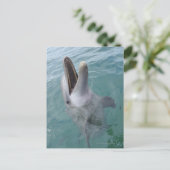 一般的なボトレスドルフィンのポートレートカリブの、 ポストカード (スタンド正面)