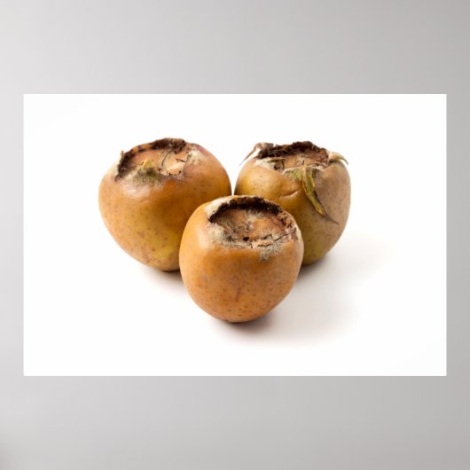 一般的なメドラル ポスター (正面)