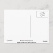 一般的なメルガナーハガキ ポストカード (裏面)