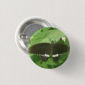 一般的なモルモン蝶ボタン 缶バッジ (正面&裏面)