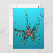 一般的なライオンフィッシュの平和と喜び ポストカード (正面/裏面)