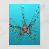 一般的なライオンフィッシュの平和と喜び ポストカード (正面)