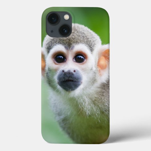 一般的なリスのサルのクローズアップ Case-Mate iPhoneケース (裏面)
