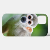 一般的なリスのサルのクローズアップ Case-Mate iPhoneケース (裏面 (横))