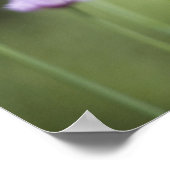 一般的な園芸植物の紫色の花が成長 ポスター (角)