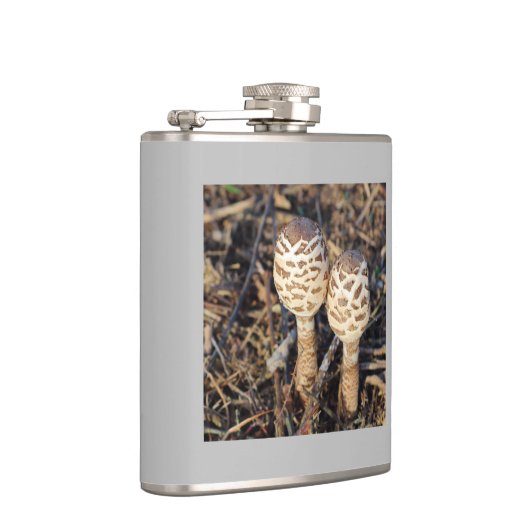 一般的な寄生虫 フラスク (右)