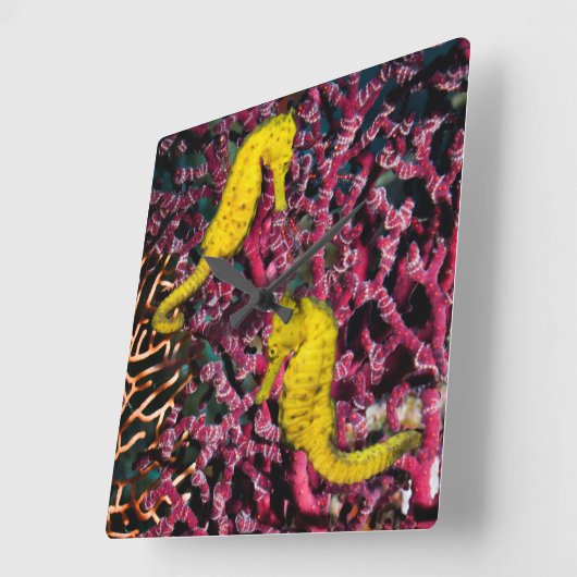 一般的な海馬 | Hippocampus Taeniopterus スクエア壁時計 (傾斜)