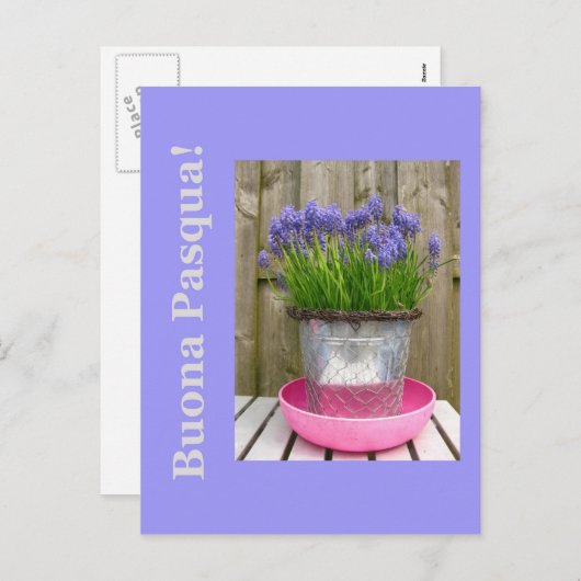 一般的な青いヒアシントのイースターグリーティンイタリアング –  シーズンポストカード (正面/裏面)