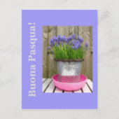 一般的な青いヒアシントのイースターグリーティンイタリアング – シーズンポストカード (正面)