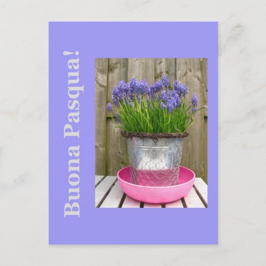 一般的な青いヒアシントのイースターグリーティンイタリアング – シーズンポストカード (正面)