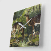 一般的な（白い尾の）鹿 – オーデュボンの四足動物 スクエア壁時計 (傾斜)