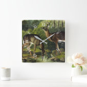 一般的な（白い尾の）鹿 – オーデュボンの四足動物 スクエア壁時計 (ホーム)