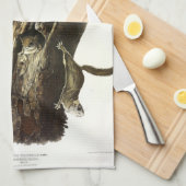 一般的または南リス飛んでいるル、またはアサパン キッチンタオル (四つ折り)