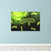 一般細菌の概念像 キャンバスプリント (インサイチュ (ウッドフロア))