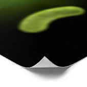 一般細菌の概念像 ポスター (角)