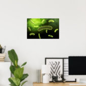 一般細菌の概念像 ポスター (ホームオフィス)