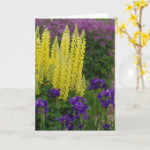 一般誕生日花 カード (黄色い花)