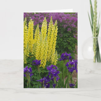 一般誕生日花 カード