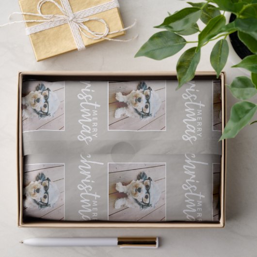 一角写真トープとメリークリスマス 薄葉紙 (ギフト)